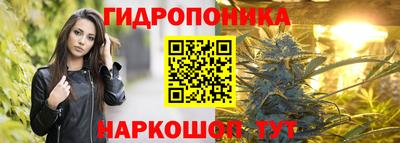 экстази Гай