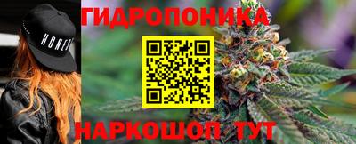 экстази Гай