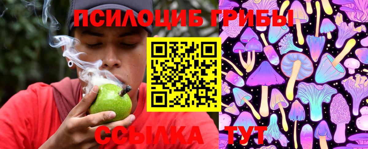 Псилоцибиновые грибы прущие грибы  Галлюциногенные грибы ЛСД  Муравленко  Вход с VPN 